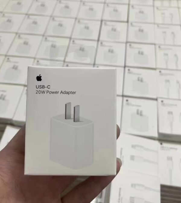 USB-C COMPATIBLE avec Apple; Chargeur c.a. 20 W